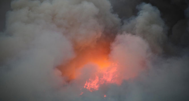 Hatay’daki yangında 40 hektarlık orman alanı zarar gördü