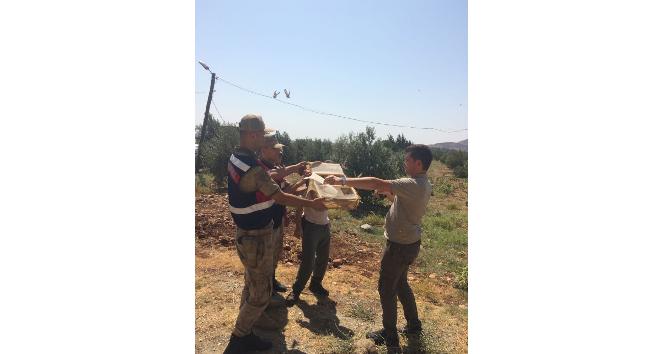 Saka kuşu yakalayan Suriyelilere suçüstü