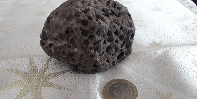 Deniz kenarında buldu eve getirdi! Gece olunca şaşkına döndü