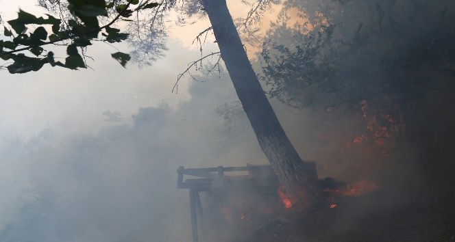 Hatay’daki yangında 40 hektarlık orman alanı zarar gördü
