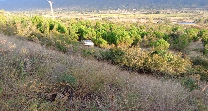 Yoldan çıkan otomobil ağaçlık alana uçtu: 3 yaralı