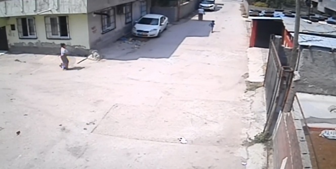 Aile boyu kovaladılar!