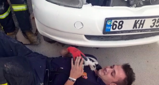 Otomobilin motor kısmına sıkışan kedi kurtarıldı