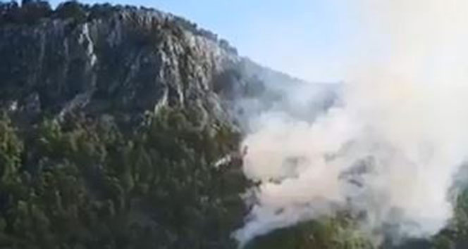 Antalya’da orman yangını...