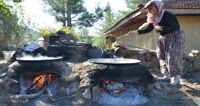 Akseki pekmezinin lezzeti toprağından geliyor