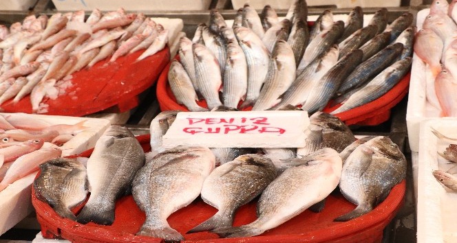 Tezgahlar balıkla doldu taştı, fiyatlar yarı yarıya düştü