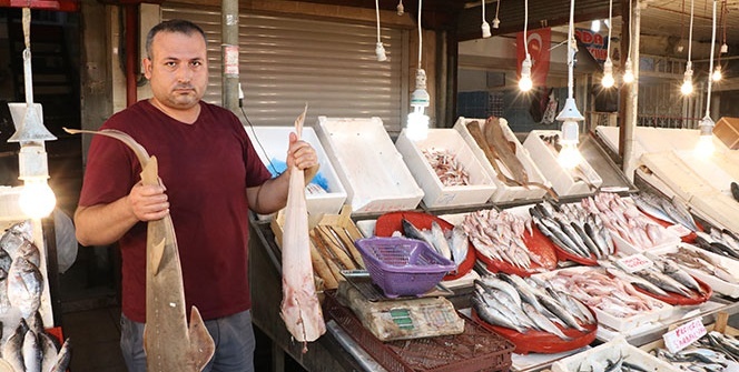 Tezgahlar doldu taştı, fiyatlar herkesi şaşırttı!