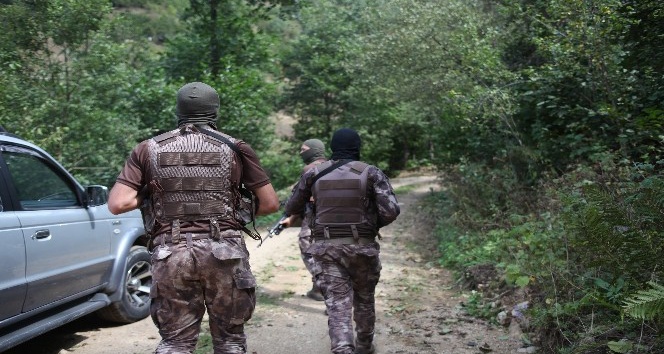 Uyarılara rağmen yayla evinde malzeme bırakanlar hakkında yasal işlem başlatılacak