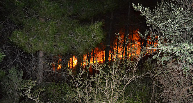 Kozan’da orman yangını..