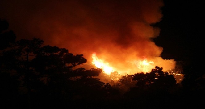 Antalya’da  orman yangını devam ediyor