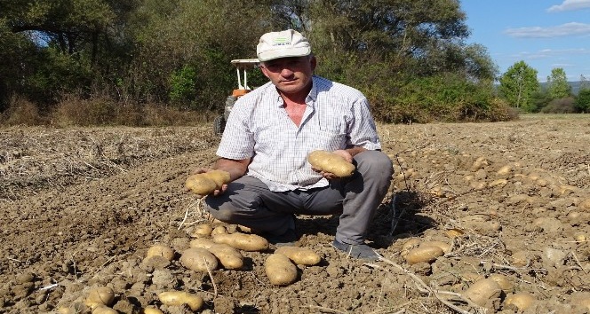 25 yıldan beri yetiştirdiği kavun ve patatesle geçimini sağlıyor
