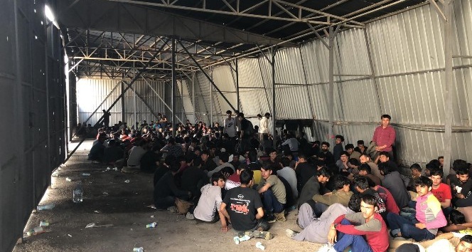 Van’da 301 kaçak göçmen yakalandı