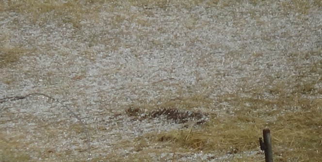 Etraf bir anda beyaza büründü!