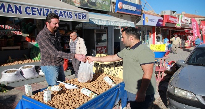 Cevizin anavatının da hasat başladı