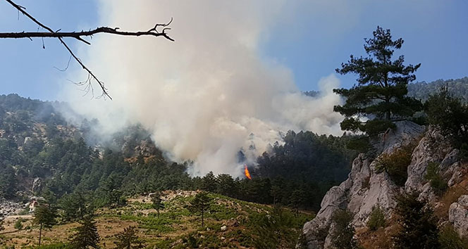 Adana&#039;da orman yangını...
