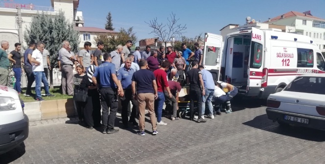 Kamyonet refüje çıktı: 2 Yaralı