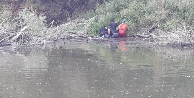 5 kişi elleriyle yakalayıp çıkardı! İnsan boyunda...