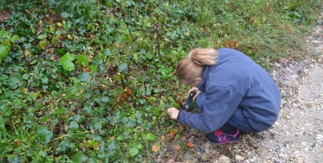 'İlk kez böyle bir olaya şahit oluyoruz'