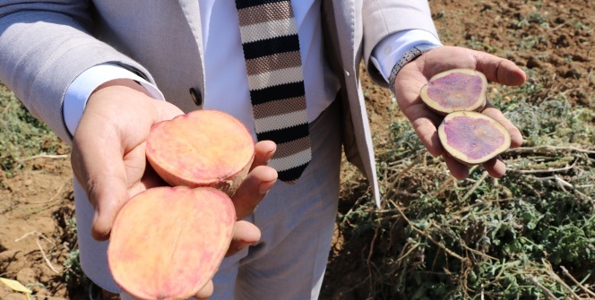 İlk yerli ve milli resmen tescillendi!