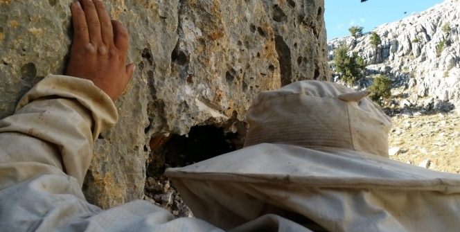 Sabahın erken saatlerinde kalkıyor ve onların izini sürüyor!