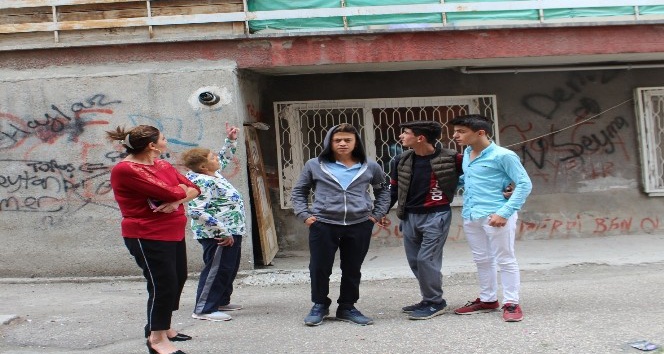 Asılarak öldürülen kedinin yavruları da kesilerek öldürülmüş