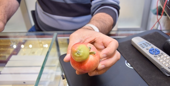 'Daha önce böyle bir şey hiç görmedim'