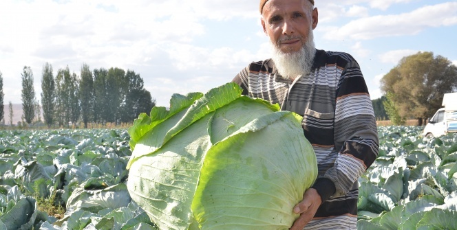Büyük rağbet görüyor! Türkiye'de eşi yok