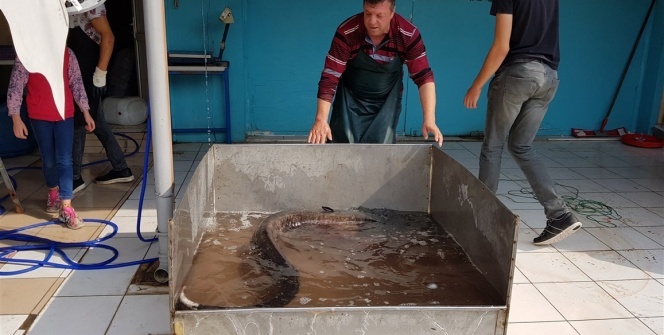 Vatandaşlardan büyük ilgi gördü!