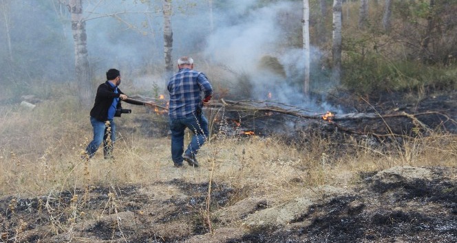 Yangını ormana sıçramadan gazeteciler söndürdü