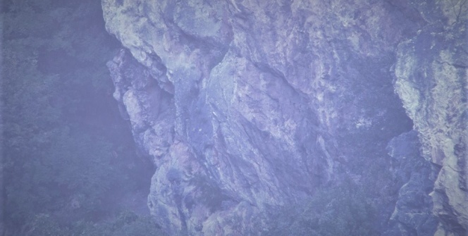 Şaşkına çeviren görüntü! İnsan yüzünü  görebildiniz mi?