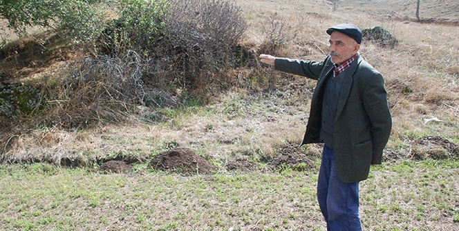 Köylülerin kabusu oldu! Korkudan sokağa çıkamıyorlar