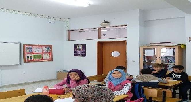 Sınıflarında davetsiz misafirle ders yapıyorlar