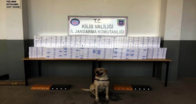 8 Bin 400 paket kaçak sigara yakalandı