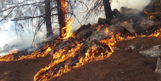 Bir değil iki değil 14.oldu! Soruşturma başlatıldı