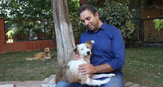 Ölüme terk edilen felçli köpek uzatılan yardım eliyle hayat döndü