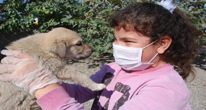 Öğrenciler yavru köpekleri doyasıya sevdi