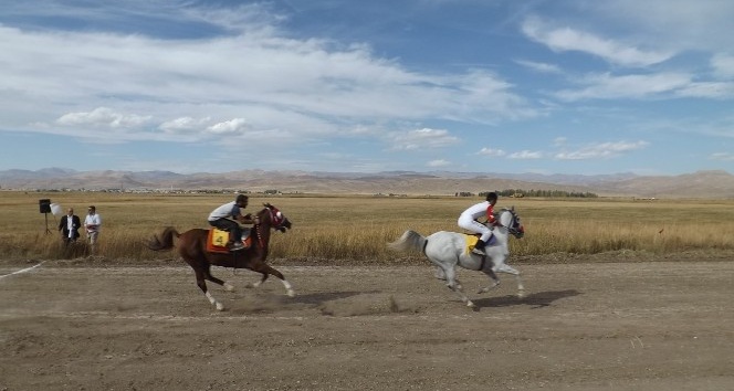 Ağrı’da geleneksel at yarışı heyecanı