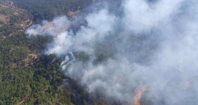 Honaz’da ormanın 6 farklı noktasında çıkan yangın söndürüldü