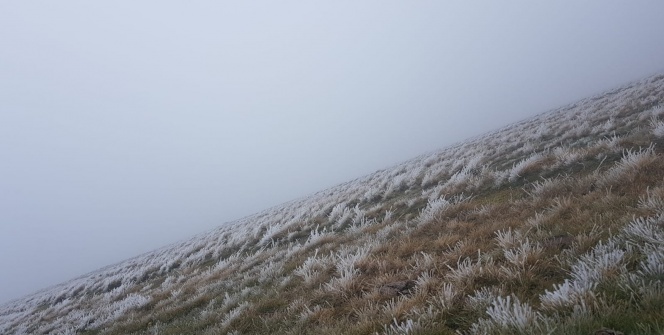 Güne böyle uyandılar! Her yer beyaza büründü
