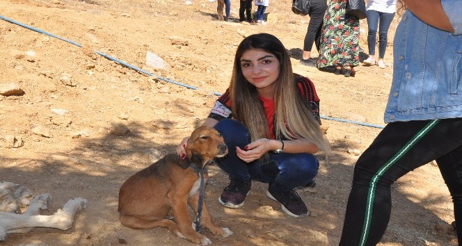 İslahiye Barınağının ilk ziyaretçileri öğrenciler oldu