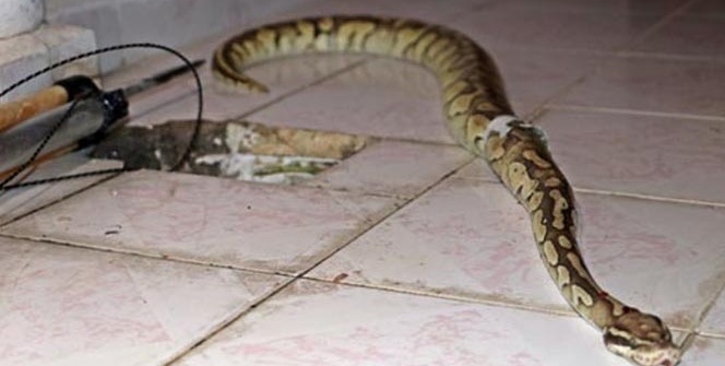 Evinin balkonunda dehşeti yaşamıştı! Cezası belli oldu...