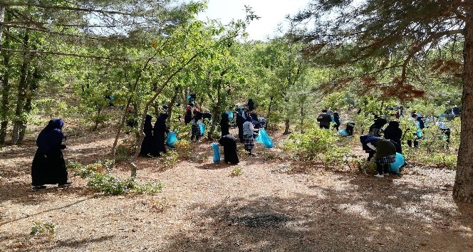 Öğrenciler mesire alanından çöp topladı