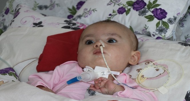 SMA hastası 8 aylık Hafsa Nur hayatını kaybetti