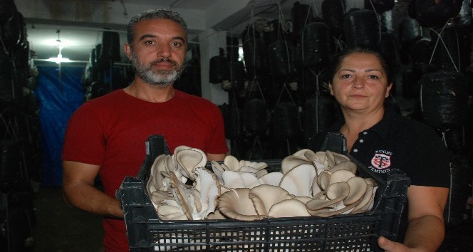 Yurt dışından köy hayatına döndüler