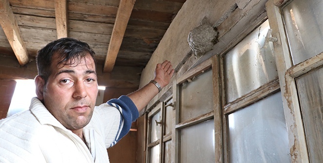 İş yerinde gelen sesleri takip etti, gördüğüne inanamadı