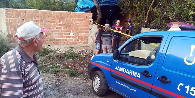 Aydın'da deve dehşeti! Feci şekilde hayatını kaybetti