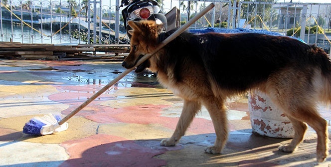 Elinden her iş geliyor! Görenleri şaşkınlığını gizleyemiyor