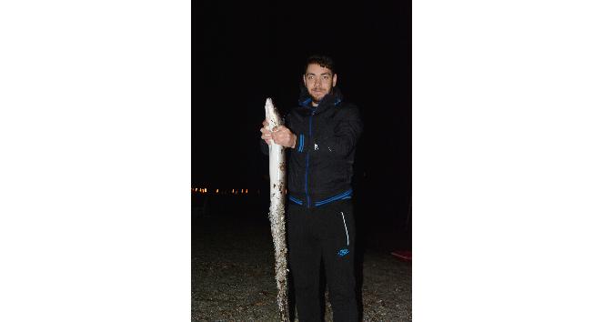 (ÖZEL) Oltayla 1,5 metrelik yılan balığı yakaladı