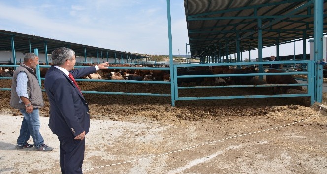 Başkan Vidinel’den besi çiftliğine ziyaret