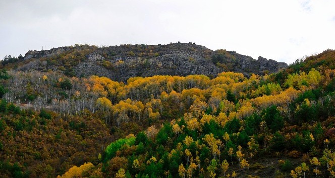 Gümüş şehir altın rengine büründü